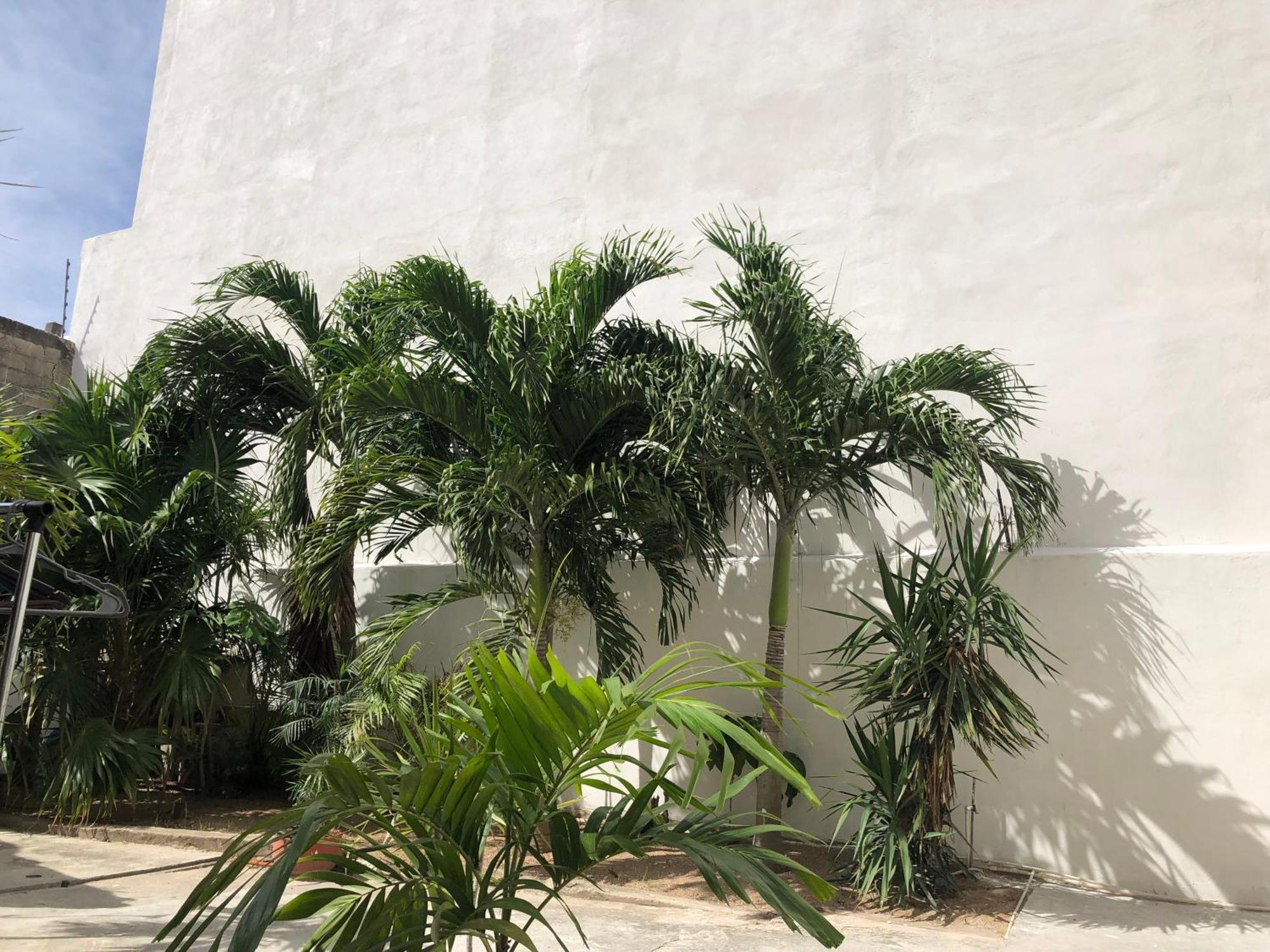 Apartahotel Playa Playa del Carmen